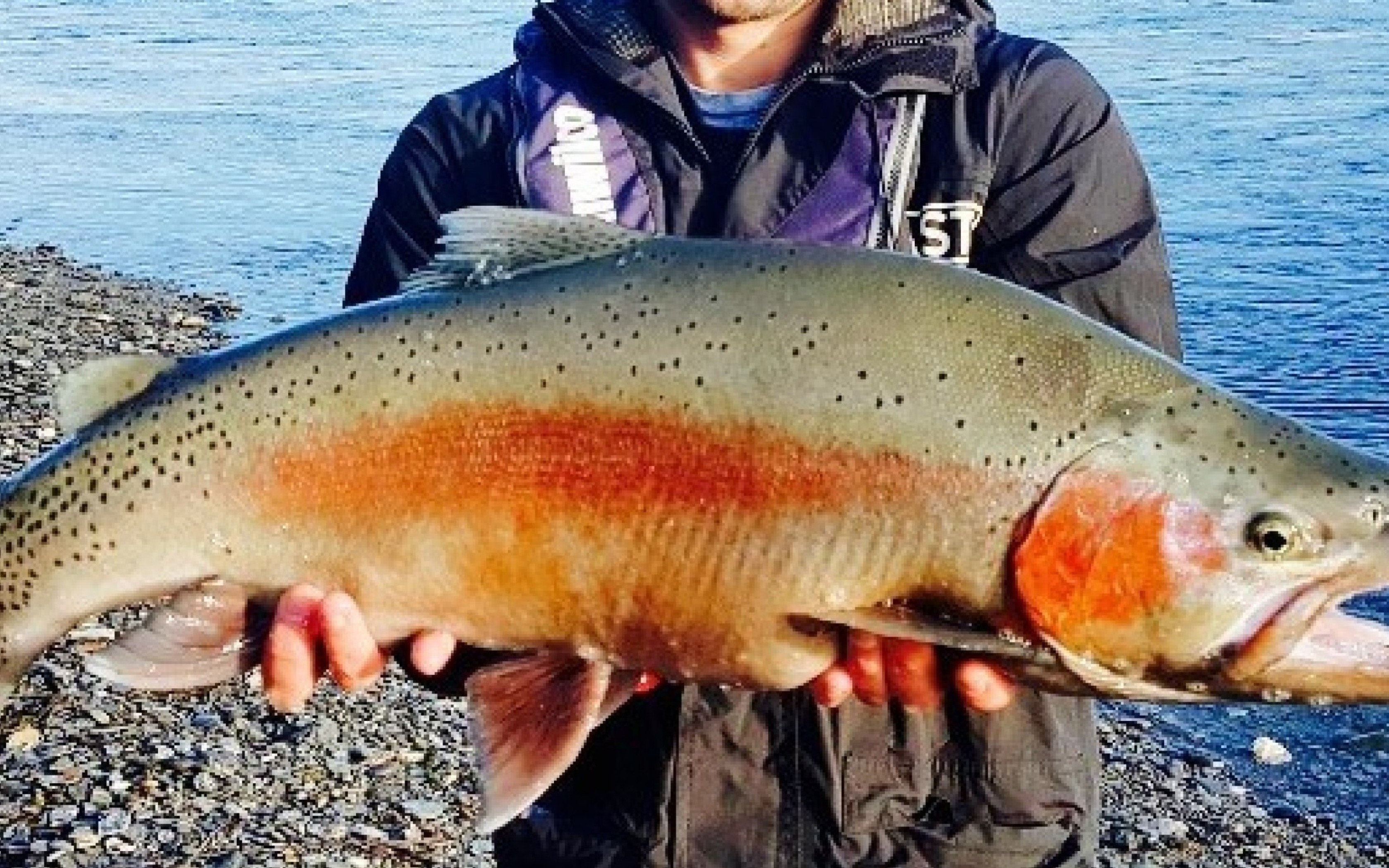 Trout Fishing with unReel Queenstown